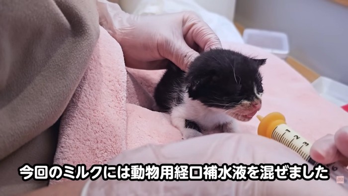 テロップ「今回のミルクには~」