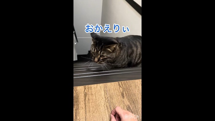おかえりぃ