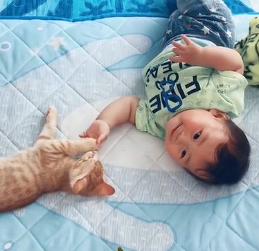 向かって左を見ながら猫と手を握り合う赤ちゃん