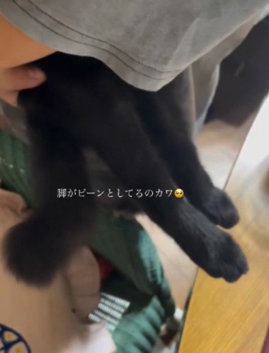 抱っこをされて脱力した黒猫の足