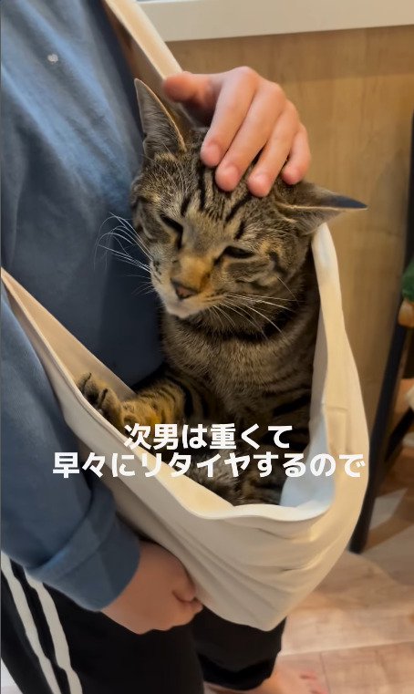 お兄ちゃんに撫でられる猫