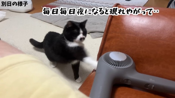 毎日毎日