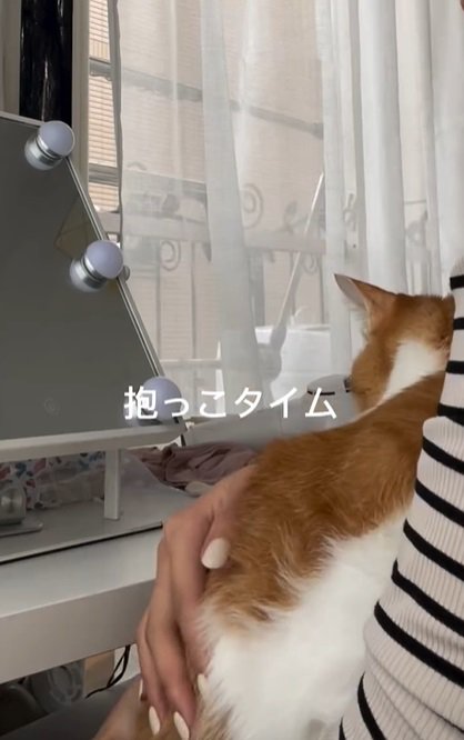 抱っこされる猫