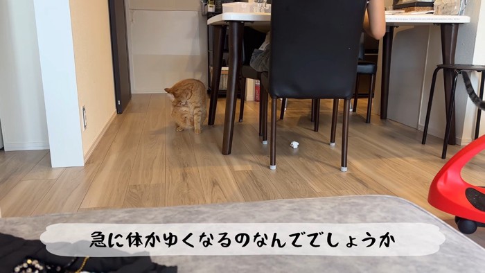 毛づくろい