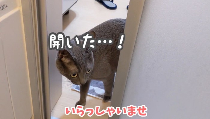 桶のそばへやってきたハムちゃん