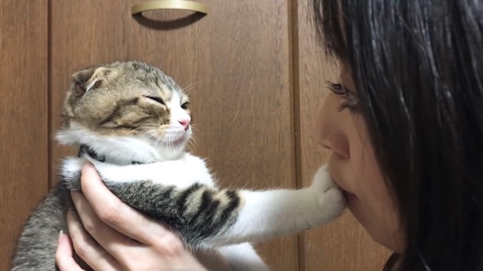 目を細めて飼い主さんを見る猫