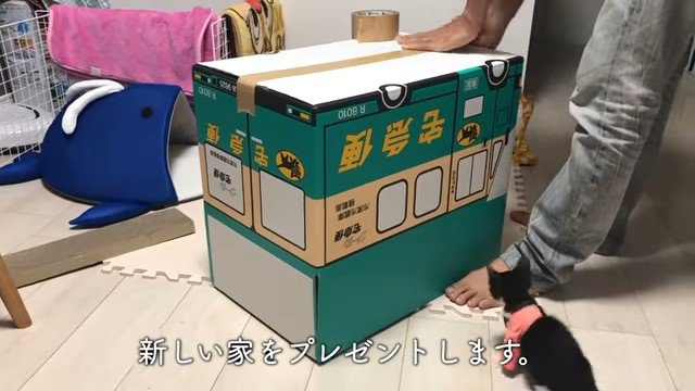 ダンボールにガムテープを貼る男性