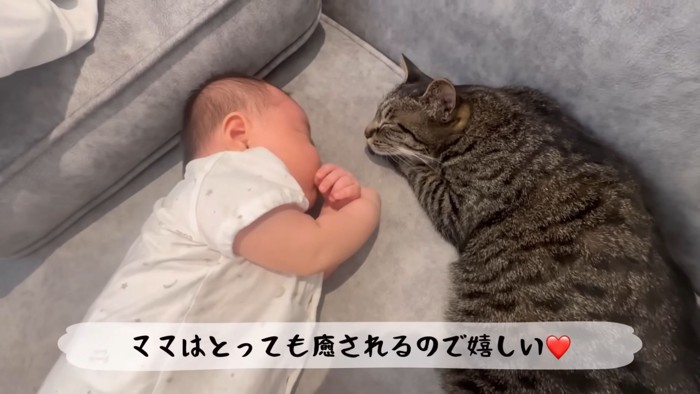 テロップ「ママはとっても~」