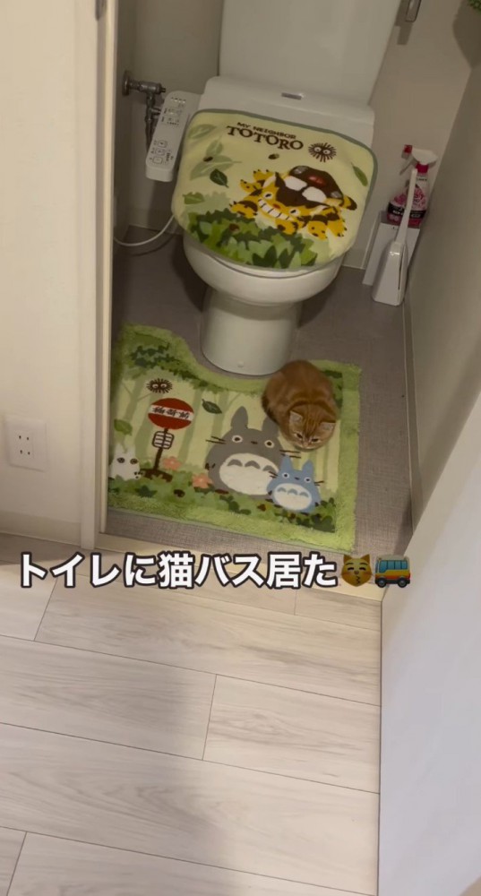 トイレマットの上の子猫1