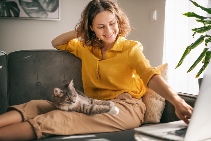 PCを操作する女性とひざに横たわる猫