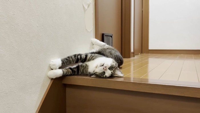 階段の上