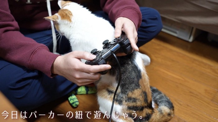 「今日はパーカーの紐で遊んじゃう」のテロップ写真