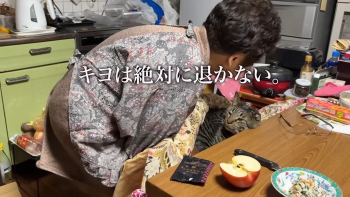 おばあちゃんと猫