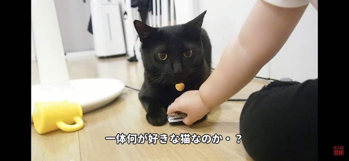 興味なし