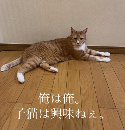 がんもくん