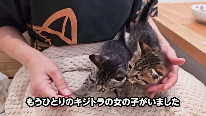 テロップ「もうひとりの~」