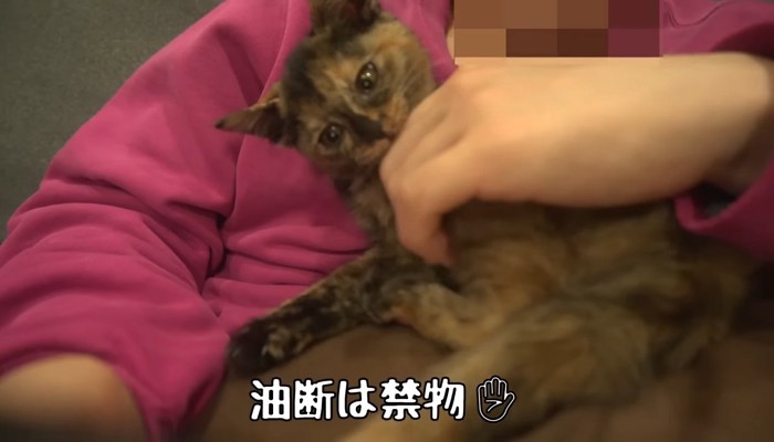油断は禁物