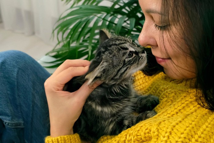 キスされる猫