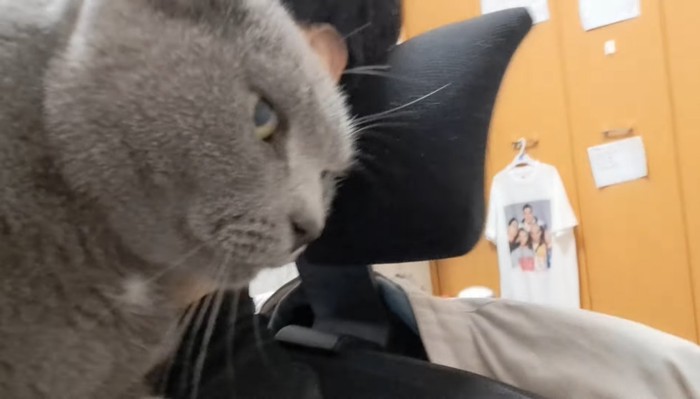 アップ