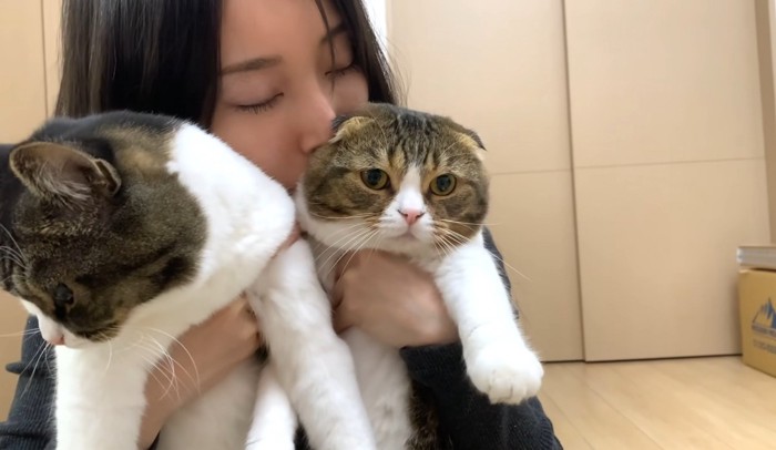 下を向く猫と遠くを見る猫と目を瞑る女性