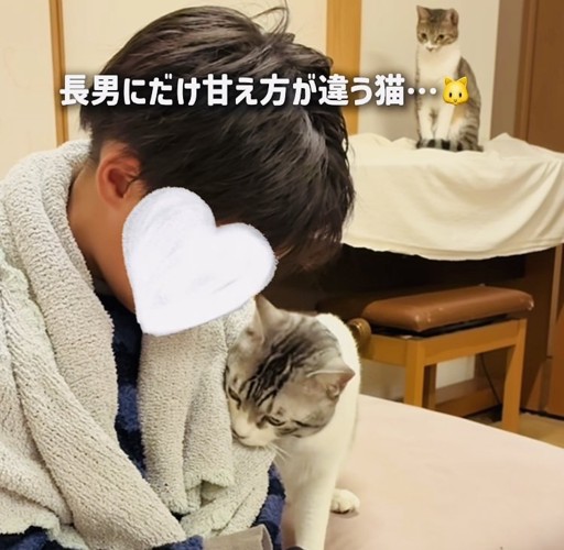 長男くんに擦り寄る保護猫