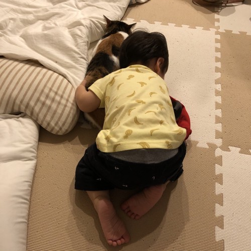 子供が猫を抱きしめてる写真