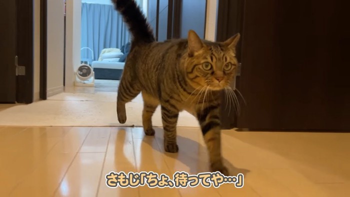 ちょ、待ってや…
