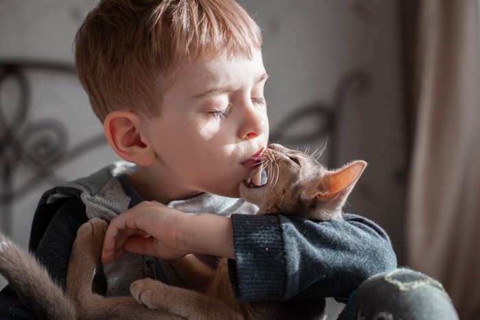 少年の顎をかみそうな猫