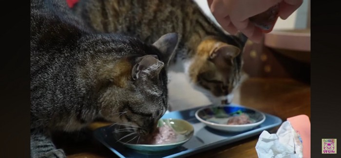 食べる