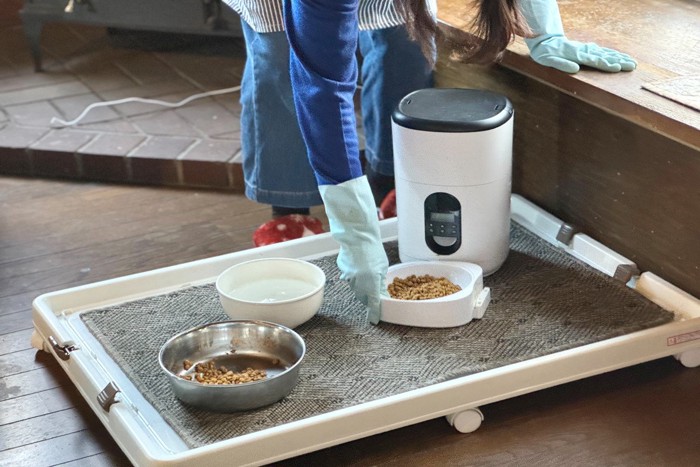 猫と自動給餌器のイメージ