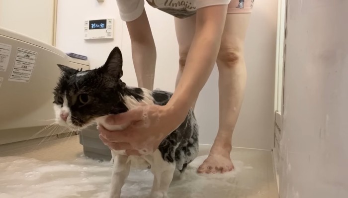 体をシャンプー中