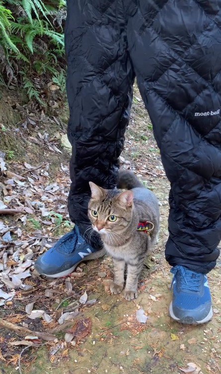 飼い主さんの足の間で休憩