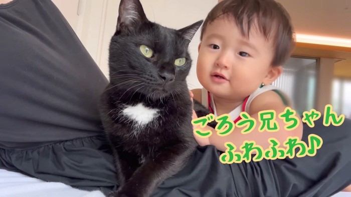 ごろう兄ちゃんふわふわ