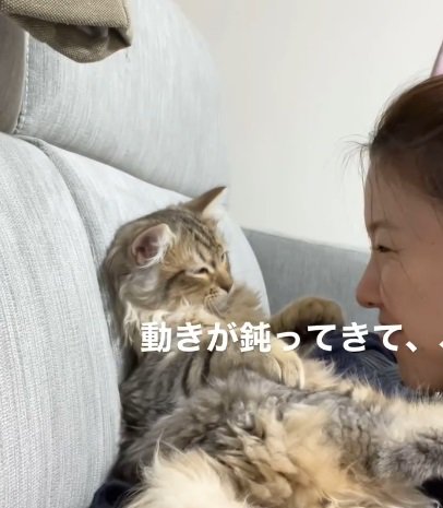 猫を見て笑う人（動きが鈍くなってきて、、、）