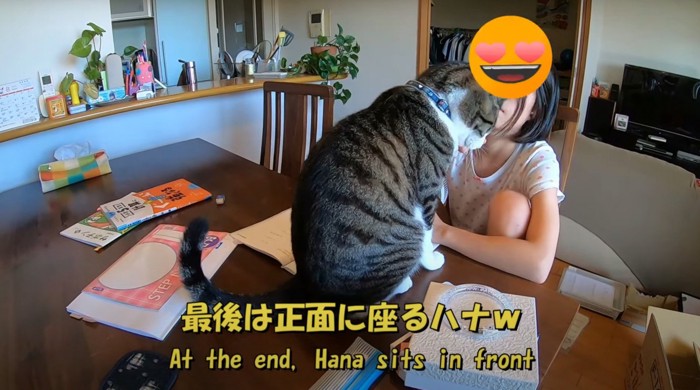 座る猫と子ども