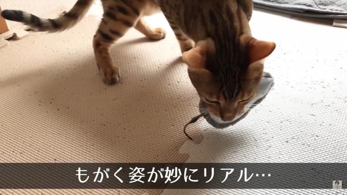 もがくゼンマイネズミ