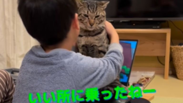 猫をハグする子ども