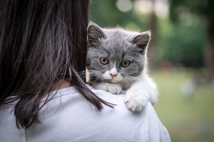 一緒にいる猫