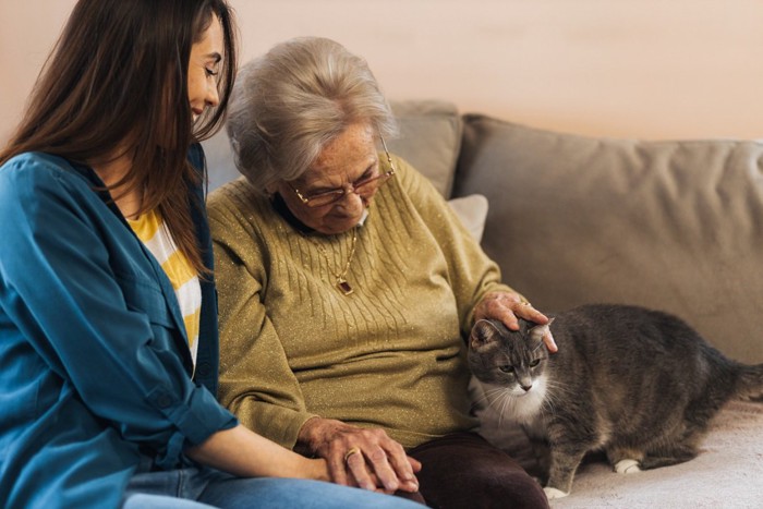 老婆の近くにいる猫