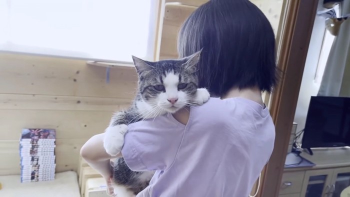 だっこされる猫