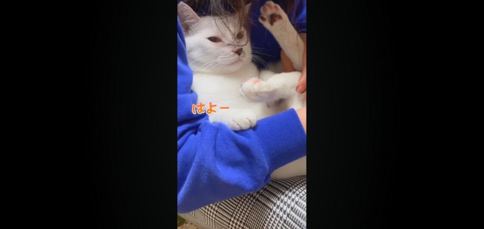 はよー