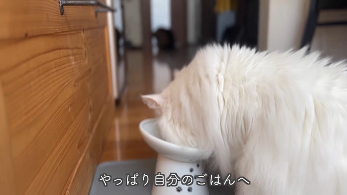 テロップ「やっぱり自分の~」