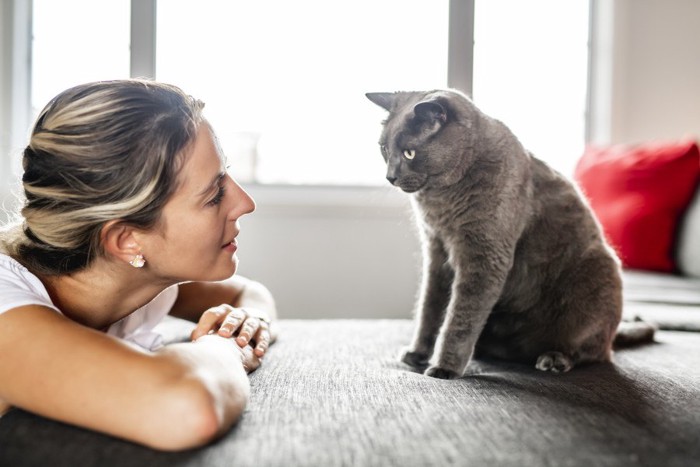 会話する猫