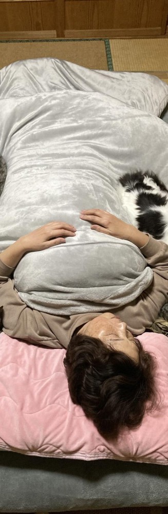 布団で寝る飼い主と猫