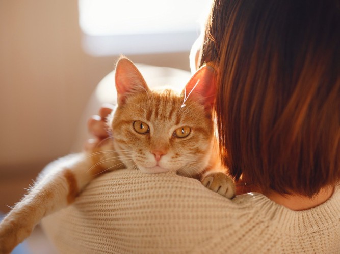 飼い主に抱かれる猫