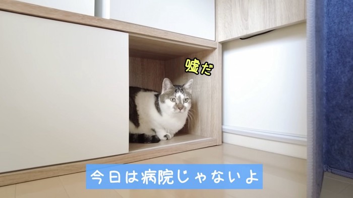 隠れるささみくん