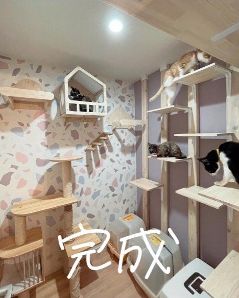 猫部屋