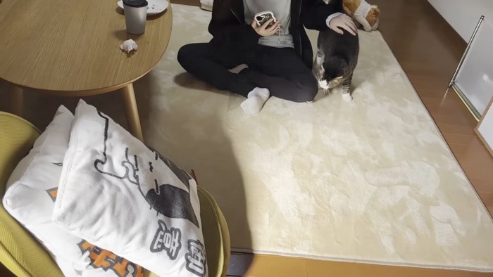 別室の様子（あぐらをかいた人物と猫ちゃん）