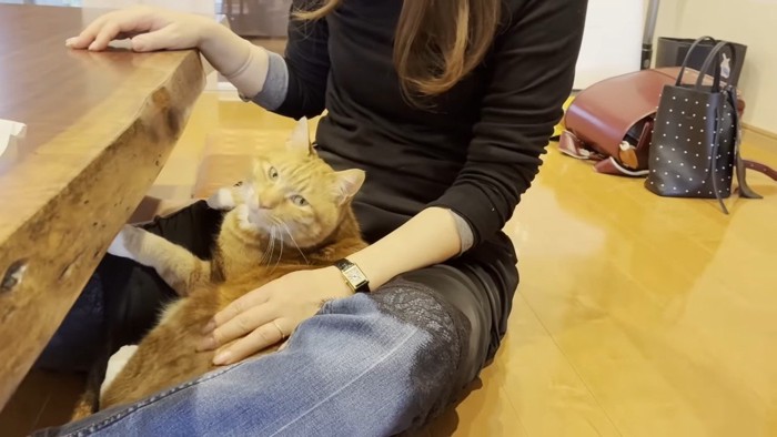 こちらを向いた姿