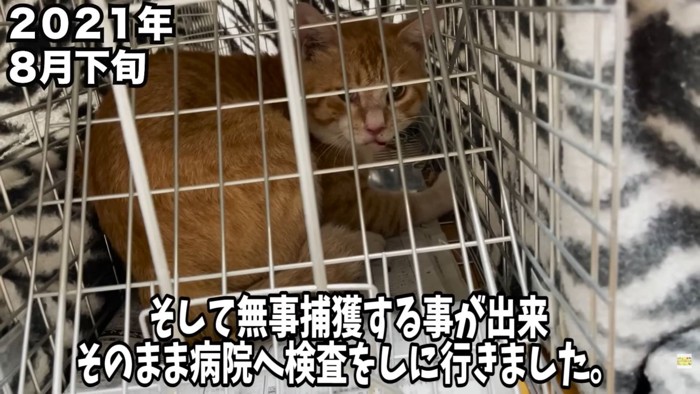 テロップ「そして無事~」